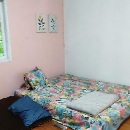 Sugi House Toraja - Penginapan Villa Harian Keluarga -Muat 20 Orang Рантепао Екстер'єр фото